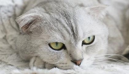 新沂伴游，定制QQ：3494206190微信：act1322